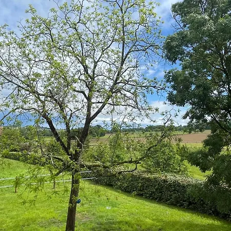 Domaine De Marthes